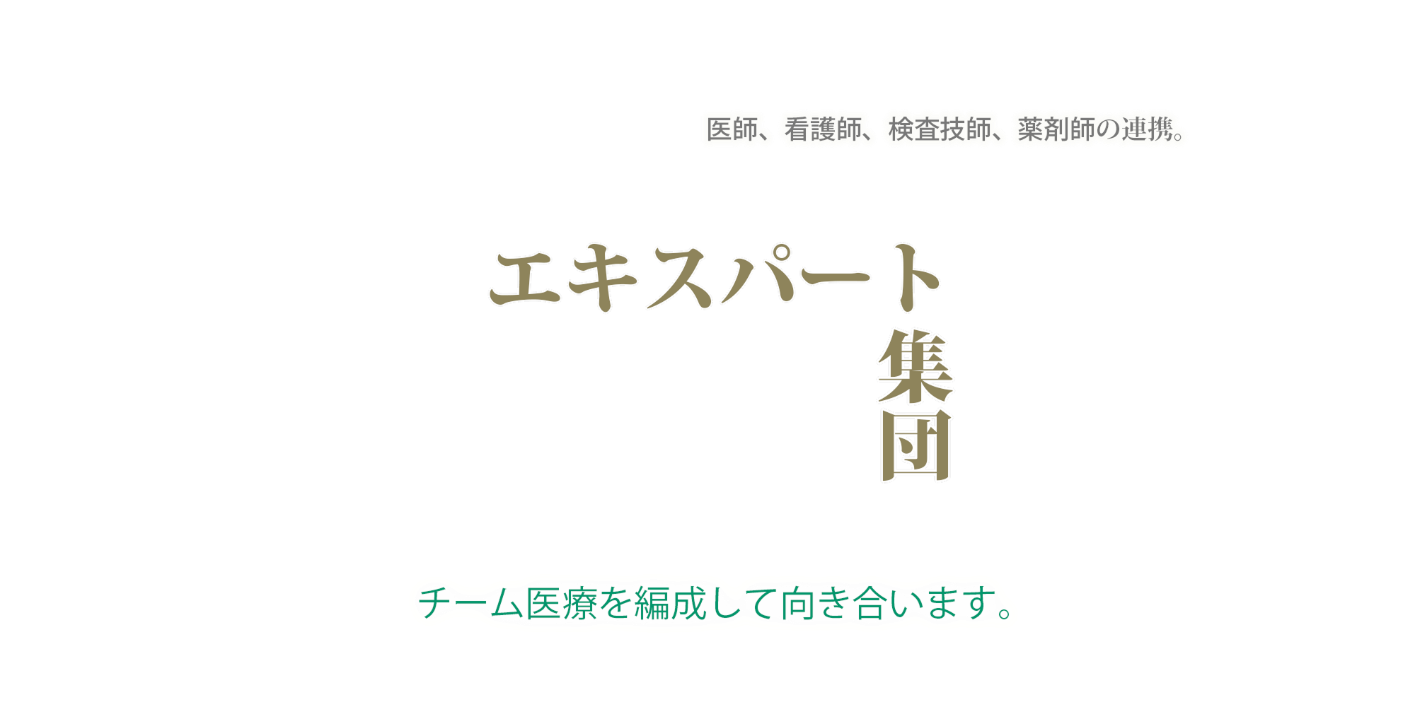 エキスパート達